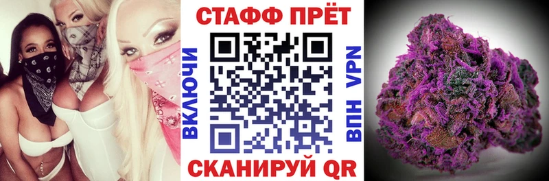 Где найти наркотики Будённовск Амфетамин  Alpha PVP  Codein  КОКАИН  Мефедрон 