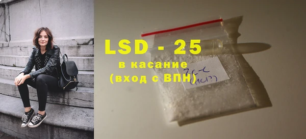 индика Алзамай