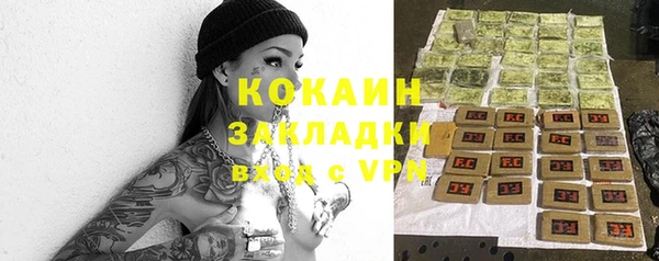 мдпв Пересвет