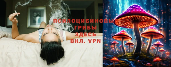 дмт Алексеевка