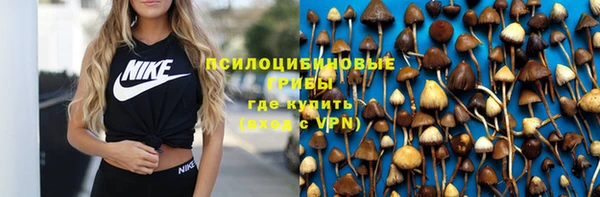 spice Арсеньев