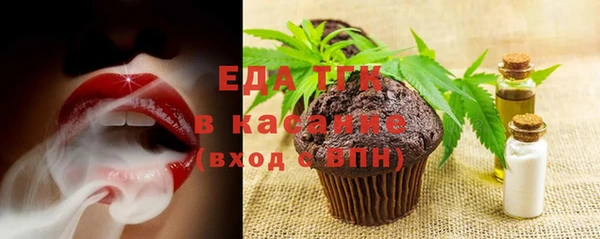 индика Алзамай