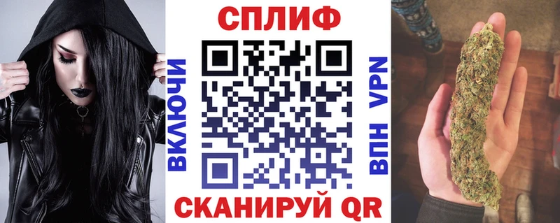 Конопля сатива  Будённовск 
